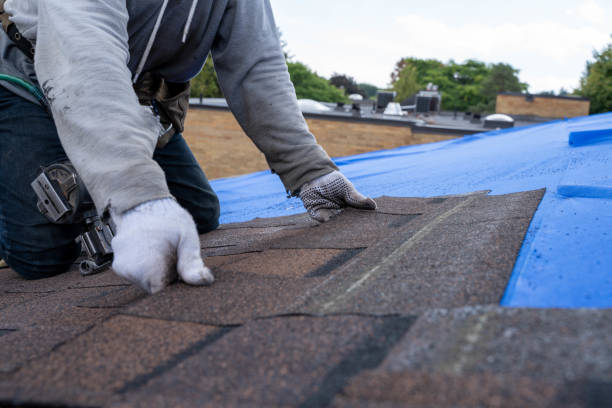 Best Best Roofing Contractors  in South Monroe, MI