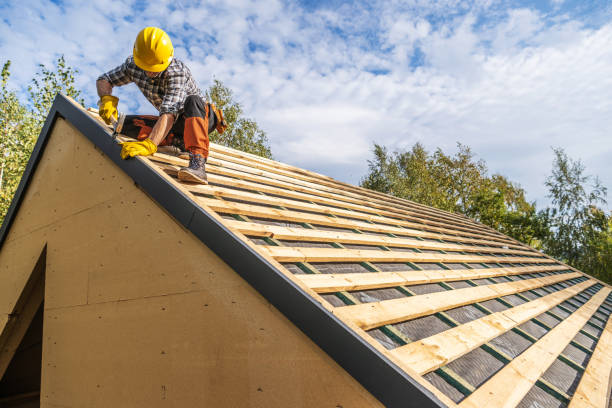 Best Local Roofing Companies  in South Monroe, MI