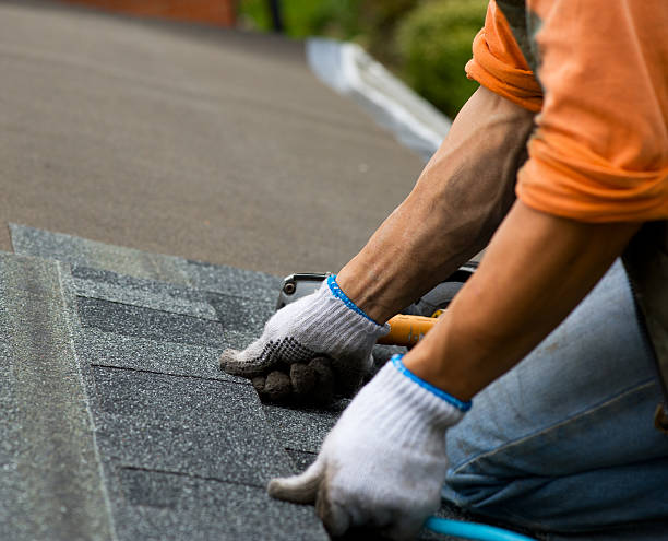 Best Metal Roofing Contractor  in South Monroe, MI